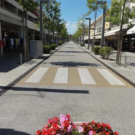 Apartament Auriga *