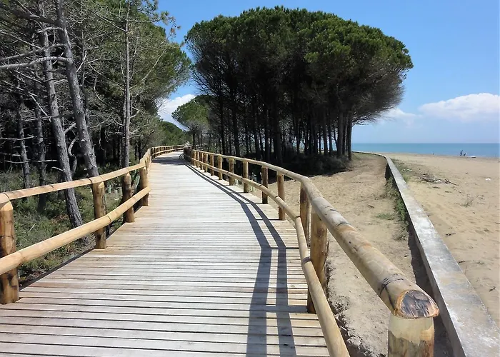 Auriga Bibione